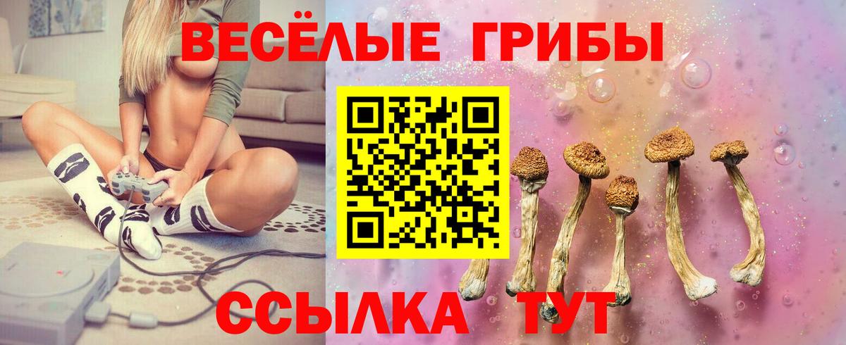 Галлюциногенные грибы прущие грибы Сибай