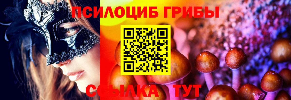 Галлюциногенные грибы Psilocybe  как найти закладки  Сибай  Вход с VPN 